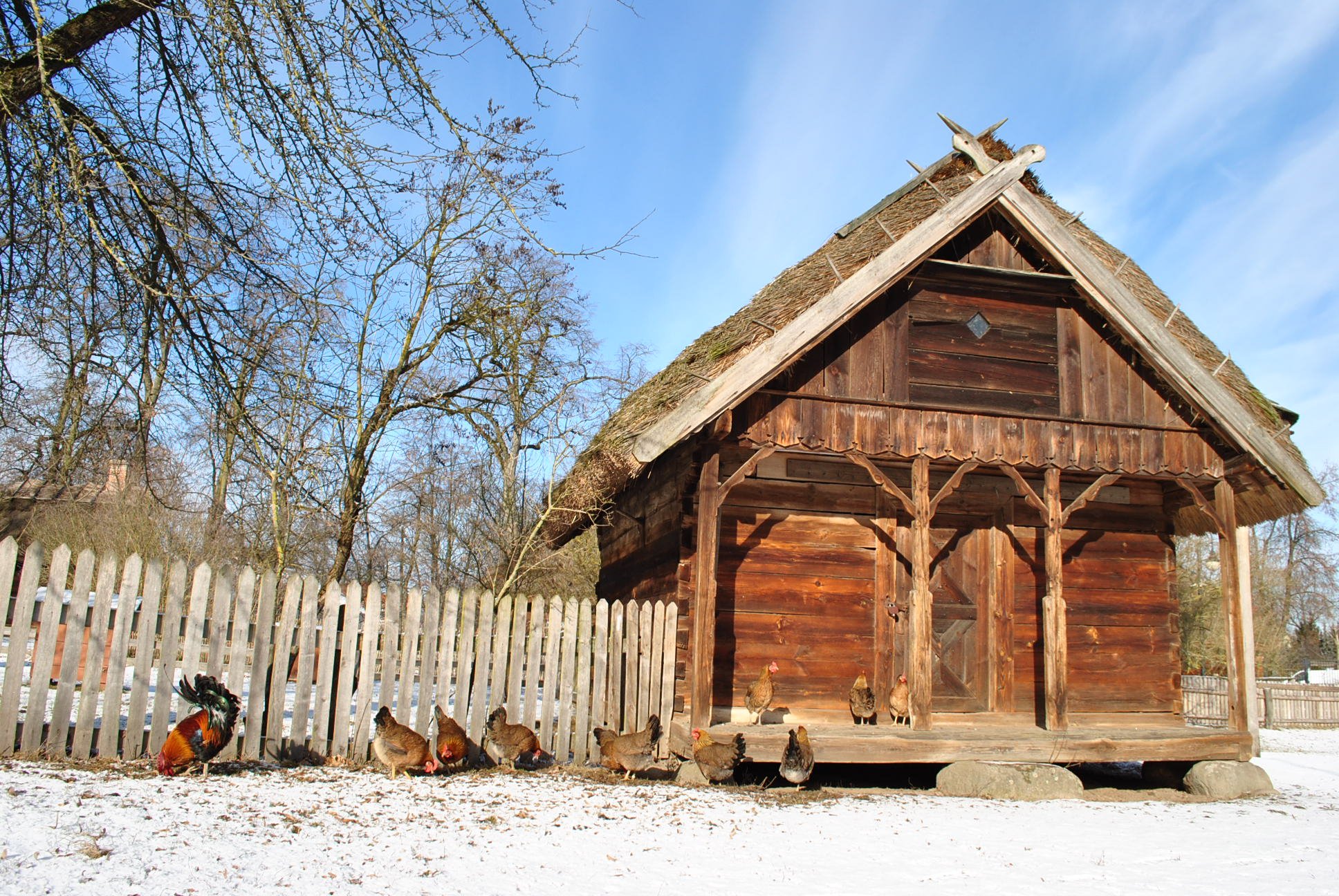 Rustykalna, drewniana chata ze strzechą stoi na tle zaśnieżonego krajobrazu. Kury i kogut gromadzą się przy drewnianym płocie. Scena jest spokojna i wiejska.