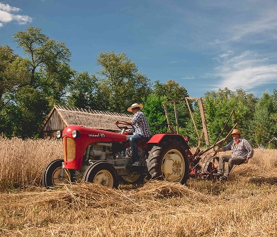 Społeczności - Youtube